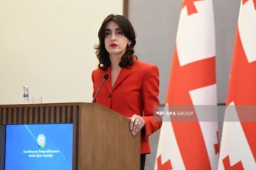 Глава МИД: Грузино-азербайджанские отношения находятся на высоком уровне