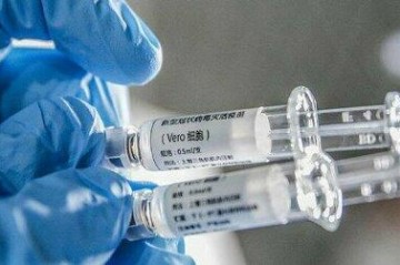 France confirms 1st hantavirus case