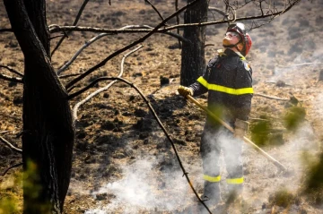 Dutch army halts live-fire training as wildfire risk surges