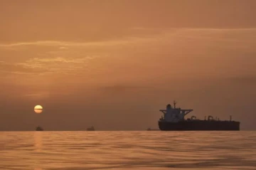 Hundreds of commercial ships waiting near Strait of Hormuz