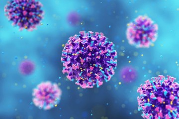 "Hantavirus"a qarşı peyvəndin olmamasının səbəbi