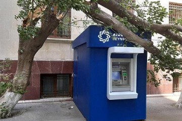 Ветер в Баку повалил 41 дерево