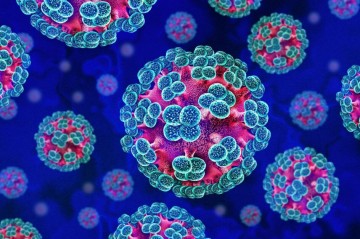 Hantavirus otaq temperaturunda maksimum nə qədər "sağ qalır?" - Həkimdən