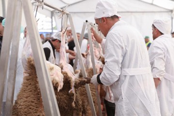 Qurbanlıqları bu ünvanlardan ala bilərsiniz - Siyahı