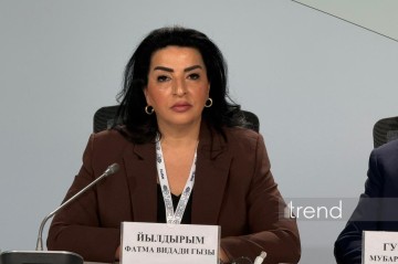 Azerbaijan implements state policy aimed at creating ecologically sustainable cities - MP