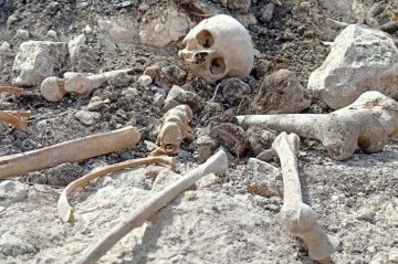 В Агдере найдены фрагменты человеческих костей - Фото