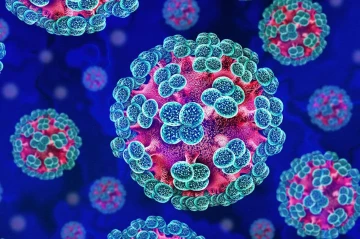 France’s health minister: We don’t know if hantavirus has mutated