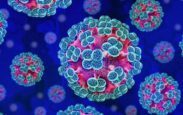 France’s health minister: We don’t know if hantavirus has mutated
