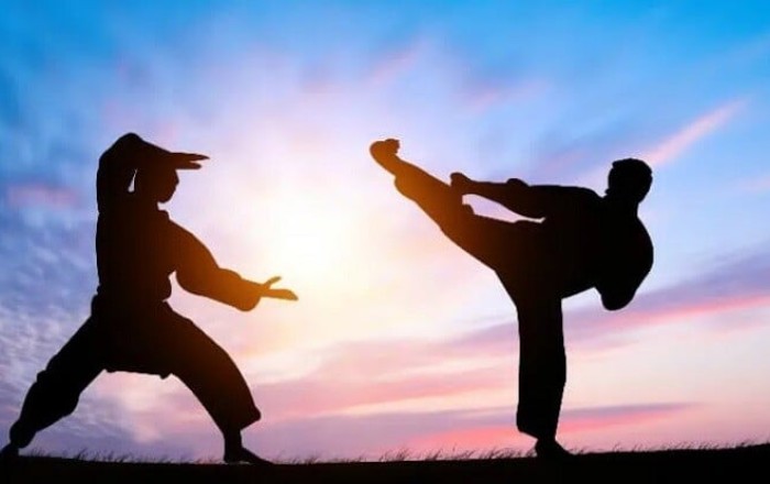 Iranian karateka wins bronze at World University Games