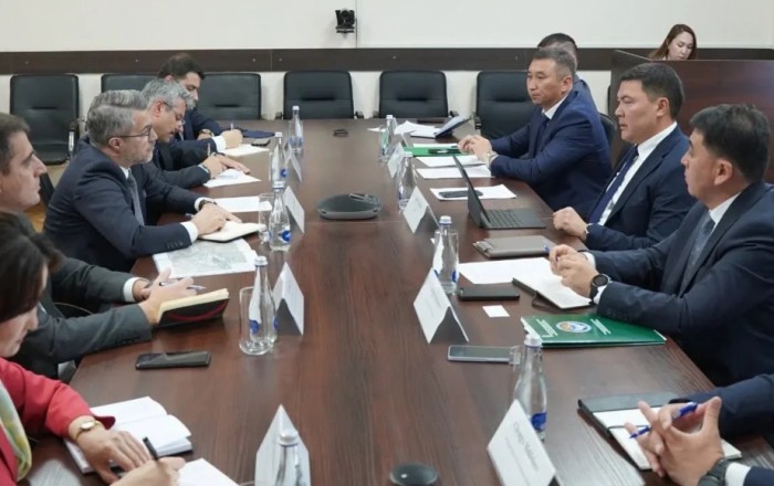 Kyrgyzstan, Turkiye discuss cooperation in mining