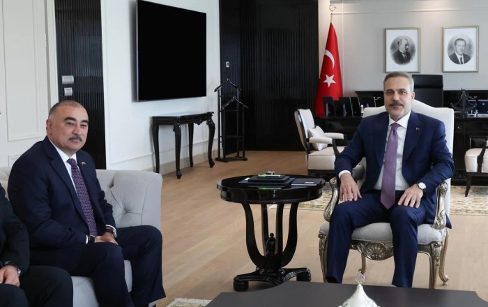 Hakan Fidan səfirimizlə görüşdü