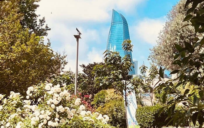 Bazar gününün -