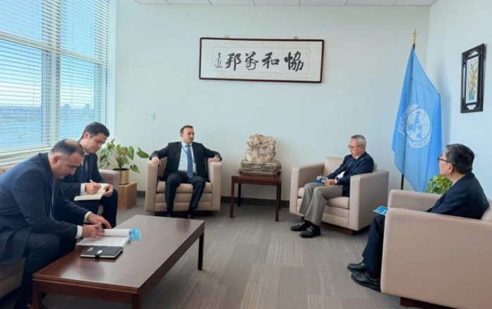 UN keen on promoting "ASAN Khidmet" experience on wider scale