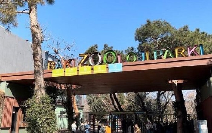 Bu qurum niyə 350 min manata siçan-siçovul alır?