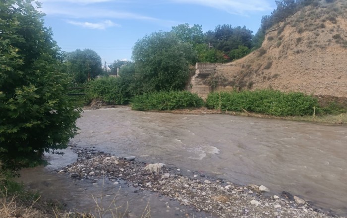 Tovuza qonaq gəldi - Çayda batdı -