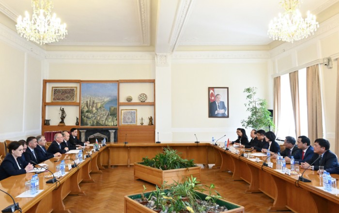 Azerbaijan and Vietnam expand judicial and prosecutorial relations