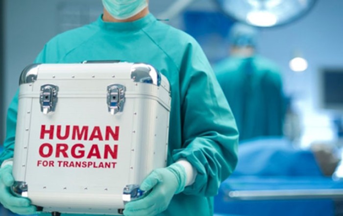 Baş nazirdən sümük iliyi transplantasiyası ilə bağlı -