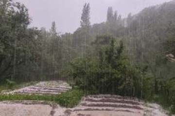 Şahbuza dolu yağıb