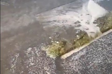 Zaqatalaya leysan yağdı, bəzi ərazilərə dolu düşdü -
