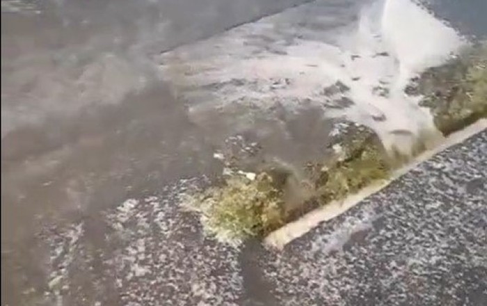 Zaqatalaya leysan yağdı, bəzi ərazilərə dolu düşdü -