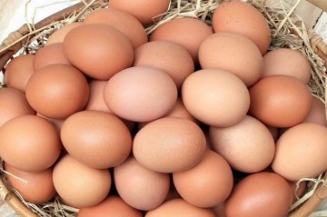 1 qəpiyə satılan yumurta indi 38 qəpik oldu?