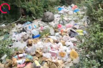 Oğuzda meşəyə insan gəlib... - Video