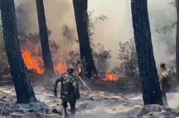 Wildfires break out in three areas of Turkiye