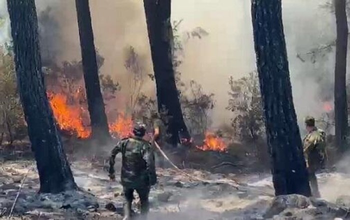 Wildfires break out in three areas of Turkiye