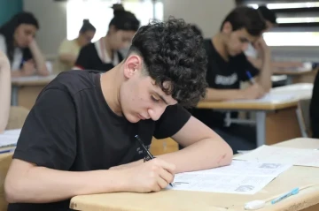 Magistraturaya ixtisas seçimi başladı