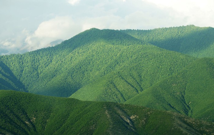 Türkiyədə meşə yanğınları başlayıb