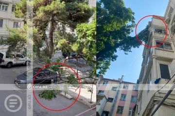 В Баку дерево упало на пятиэтажный жилой дом - ФОТО/ВИДЕО
