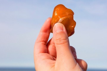 Dünyanın ən qədim kəhrəbası bu ölkədə tapıldı