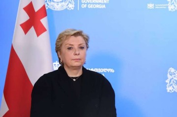 Gürcüstanlı nazir istefa verdi -   SƏBƏB