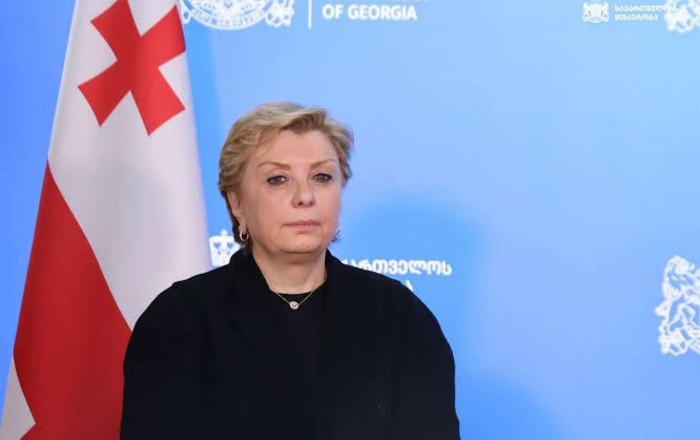 Gürcüstanlı nazir istefa verdi -   SƏBƏB