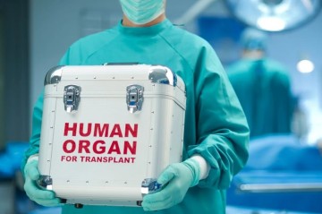 Azərbaycanda bu qədər şəxs orqan donorluğu üçün növbə gözləyir -
