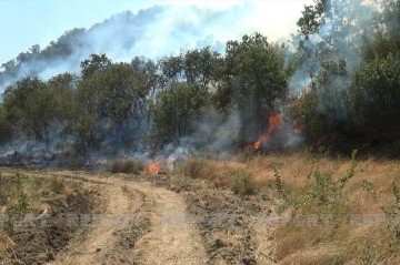 Ağdamın Kəngərli və Papravənd kəndlərindəki yanğınlar söndürüldü