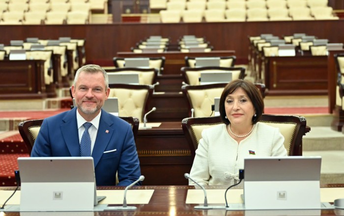 Sahibə Qafarova Pelleqrini ilə görüşüb -
