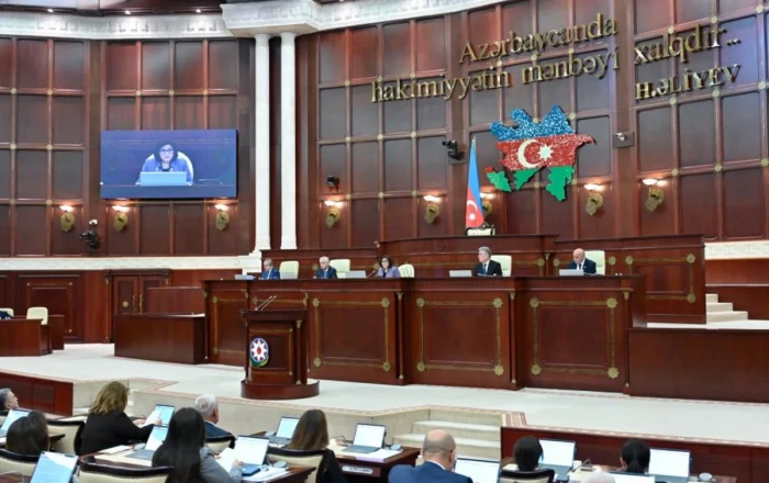 Azərbaycanda yeni qanun - Milli Məclis təsdiqlədi: Kraudfandinq nədir?