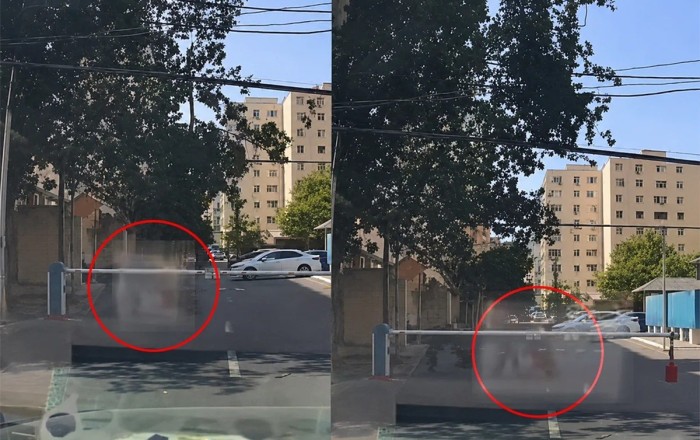 Bakıda sınan ağac budağı qadının üzərinə düşdü -