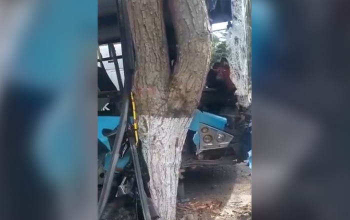 Bakıda marşrut avtobusu ağaca çırpıldı, 11 nəfər yaralandı - Video