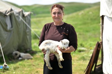 Kəlbəcər yaylaqlarında qızmar yay günü -