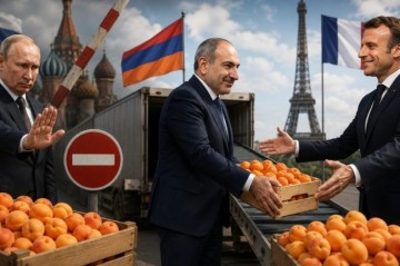 Putin qadağa qoydu, Makron quçaq açdı - Ermənilər ərikləri Parisə satacaq