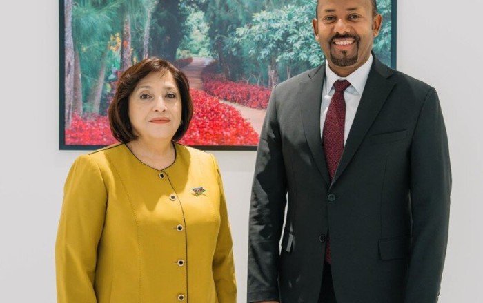 Sahibə Qafarova Efiopiya Baş naziri ilə görüşdü