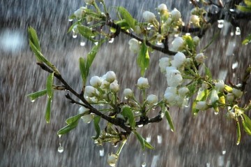 Sabah bu ərazilərə yağış yağacaq - HAVA PROQNOZU