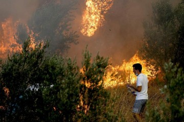 Turkiye arrests six in probe into 44 forest fires