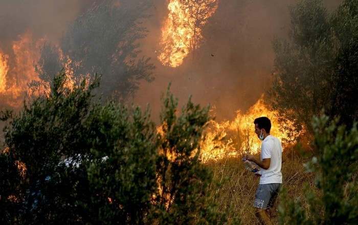 Turkiye arrests six in probe into 44 forest fires