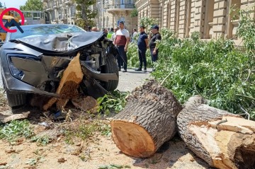 Bakının mərkəzində sükanı bloklanan maşın ağaca çırpıldı - Fotolar