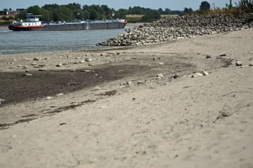 Уровень воды в Рейне обновил исторический рекорд обмеления