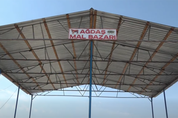 Ağdaşdakı “mal bazarı” yenidən açıldı - Video