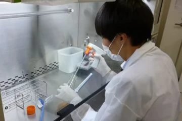 Yaponiya qida borusu xərçənginə qarşı dünyada ilk virus preparatını təqdim edib